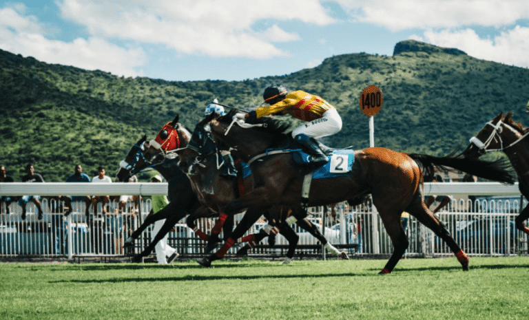 The Future of Horse Racing: Trends to Watch