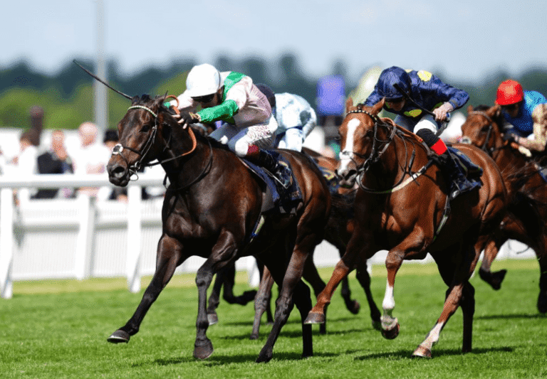 The Importance of Nutrition for Racehorses