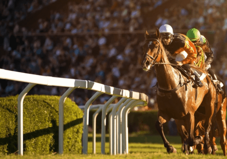 How to Read a Horse Racing Program