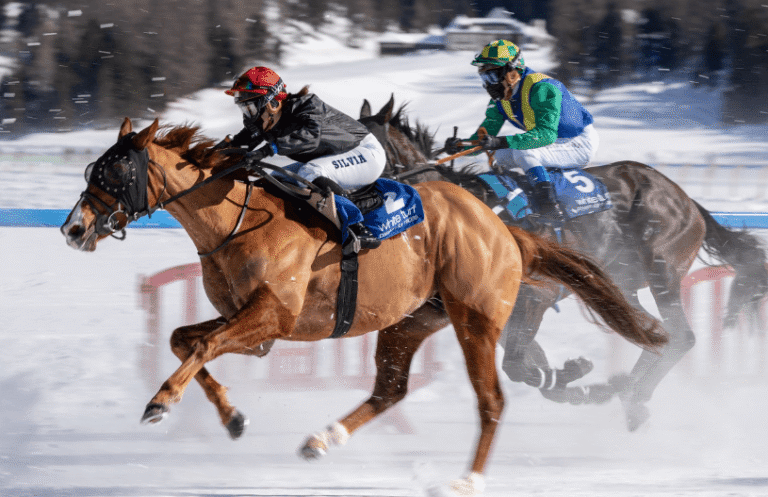 How Horse Racing Improves Equine Health
